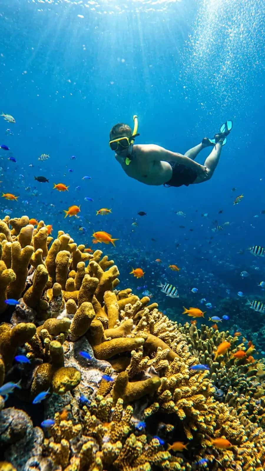 10 Destinasi Wisata Banyuwangi Wajib Dikunjungi 2026 (Anti Gagal Piknik!)