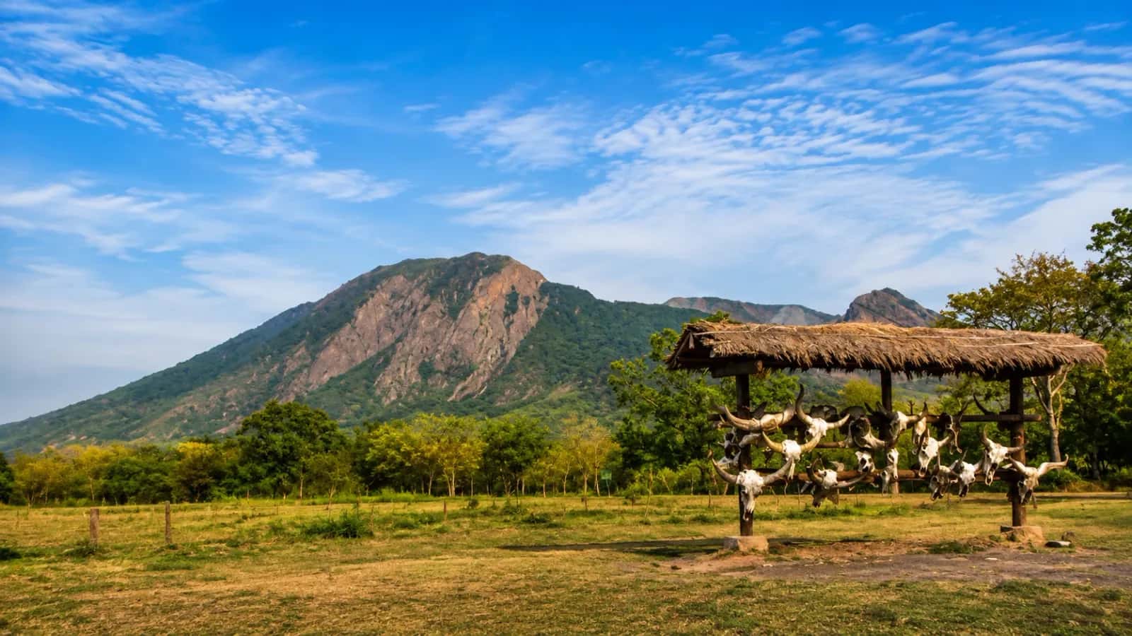Taman Nasional Baluran