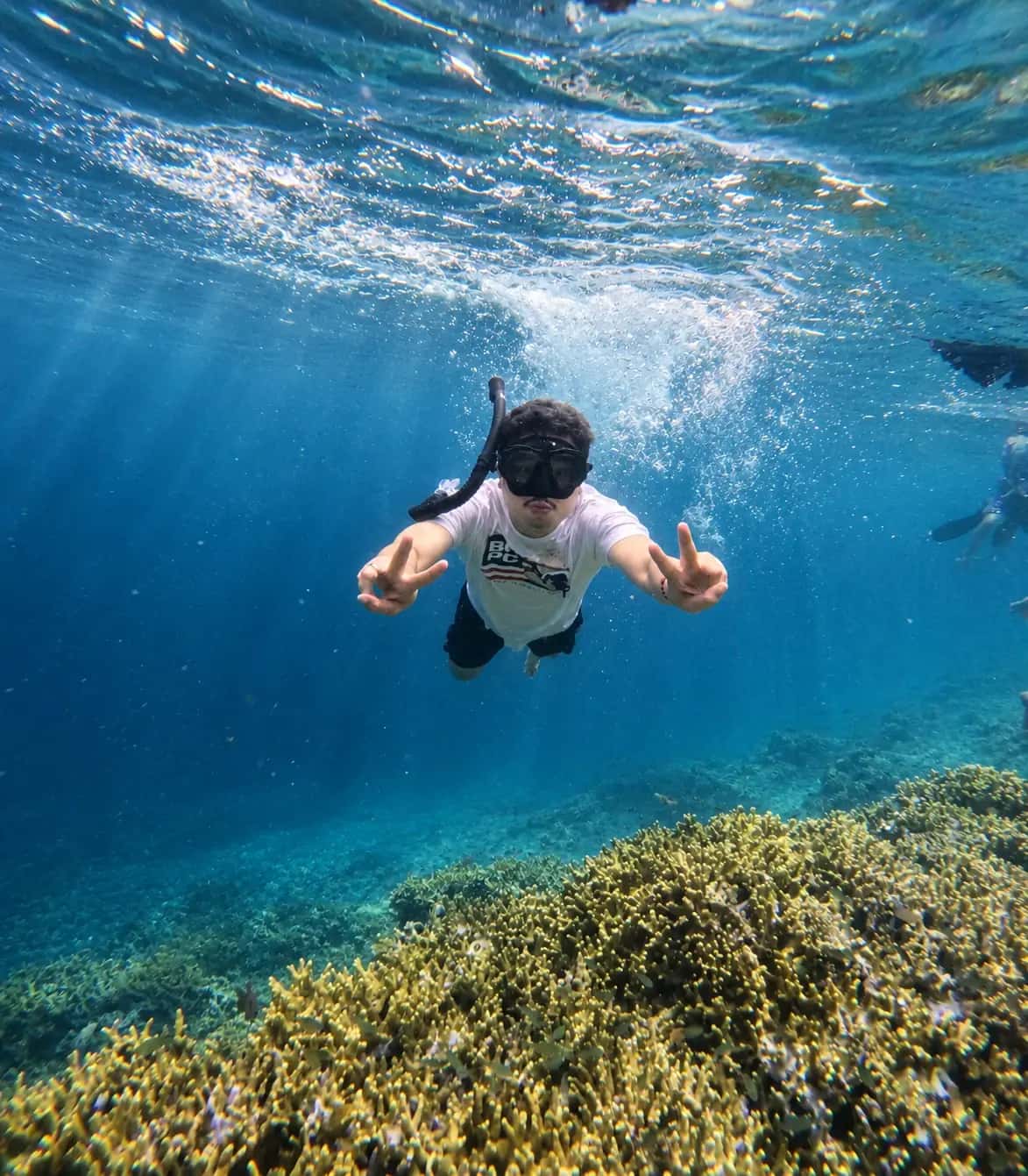 Private Trip Menjangan, Tabuhan, Baluran & Ijen Crater 2D1N (Start Malang)