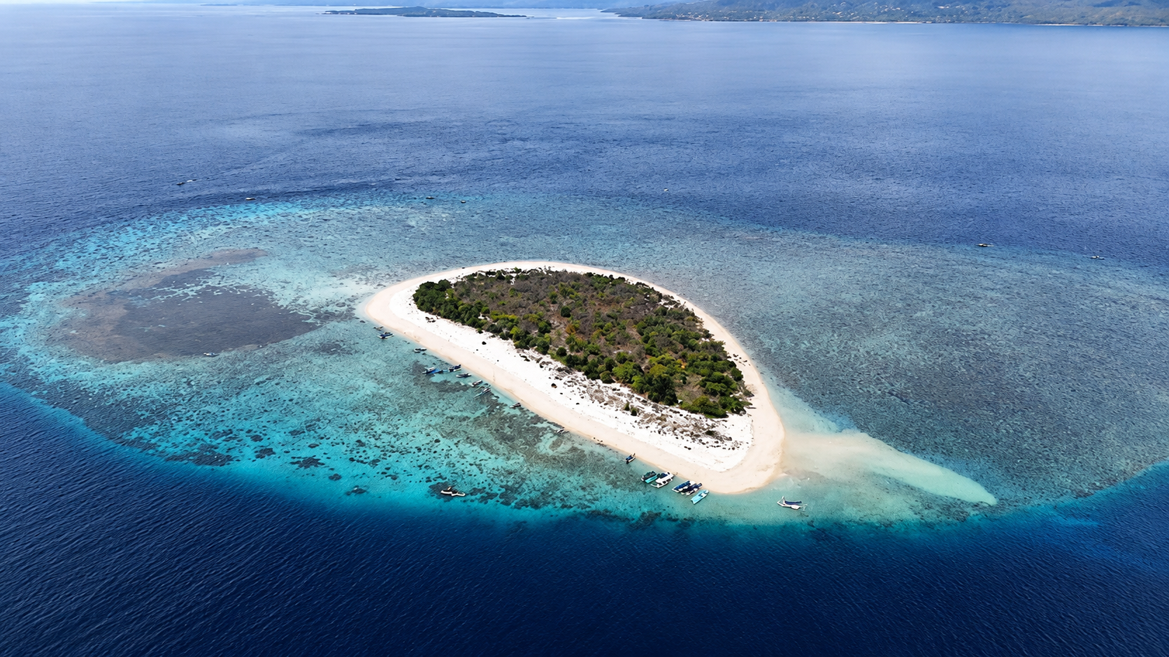 Surga Tersembunyi Selat Bali: Island Hopping Pulau Menjangan dan Pulau Tabuhan