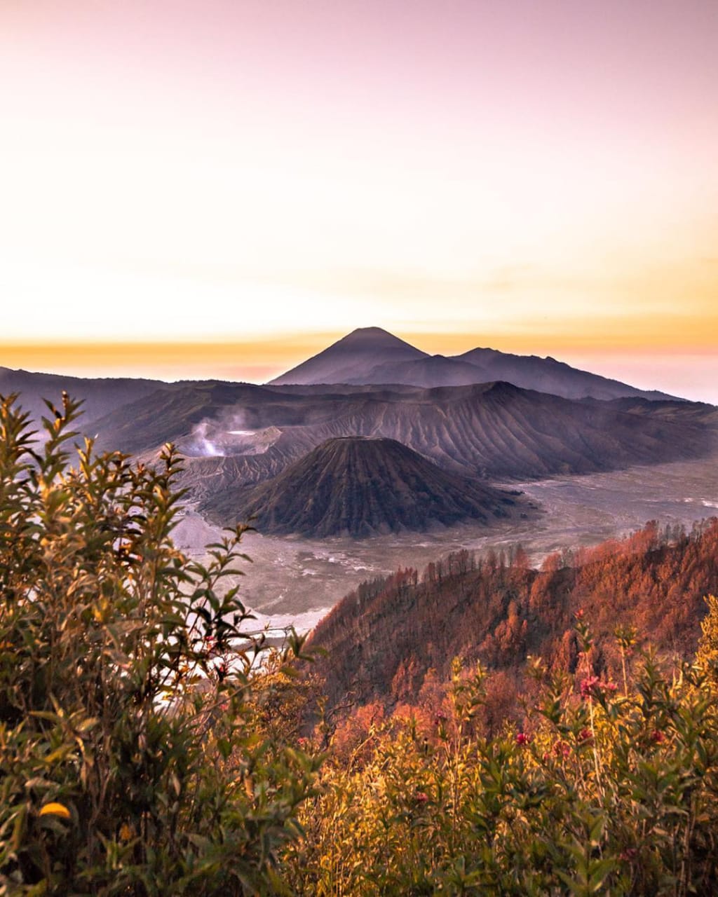 Private Trip Gunung Bromo